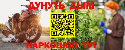 сатива Краснодар