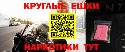 сатива Краснодар