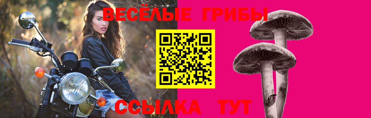 Клинцы  Галлюциногенные грибы ЛСД  Вход с VPN  Галлюциногенные грибы Psilocybine cubensis 