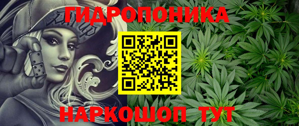МАРИХУАНА планчик  Бошки Шишки White Widow  Клинцы  Бошки Шишки OG Kush  Вход с VPN  Канабис ГИДРОПОН 